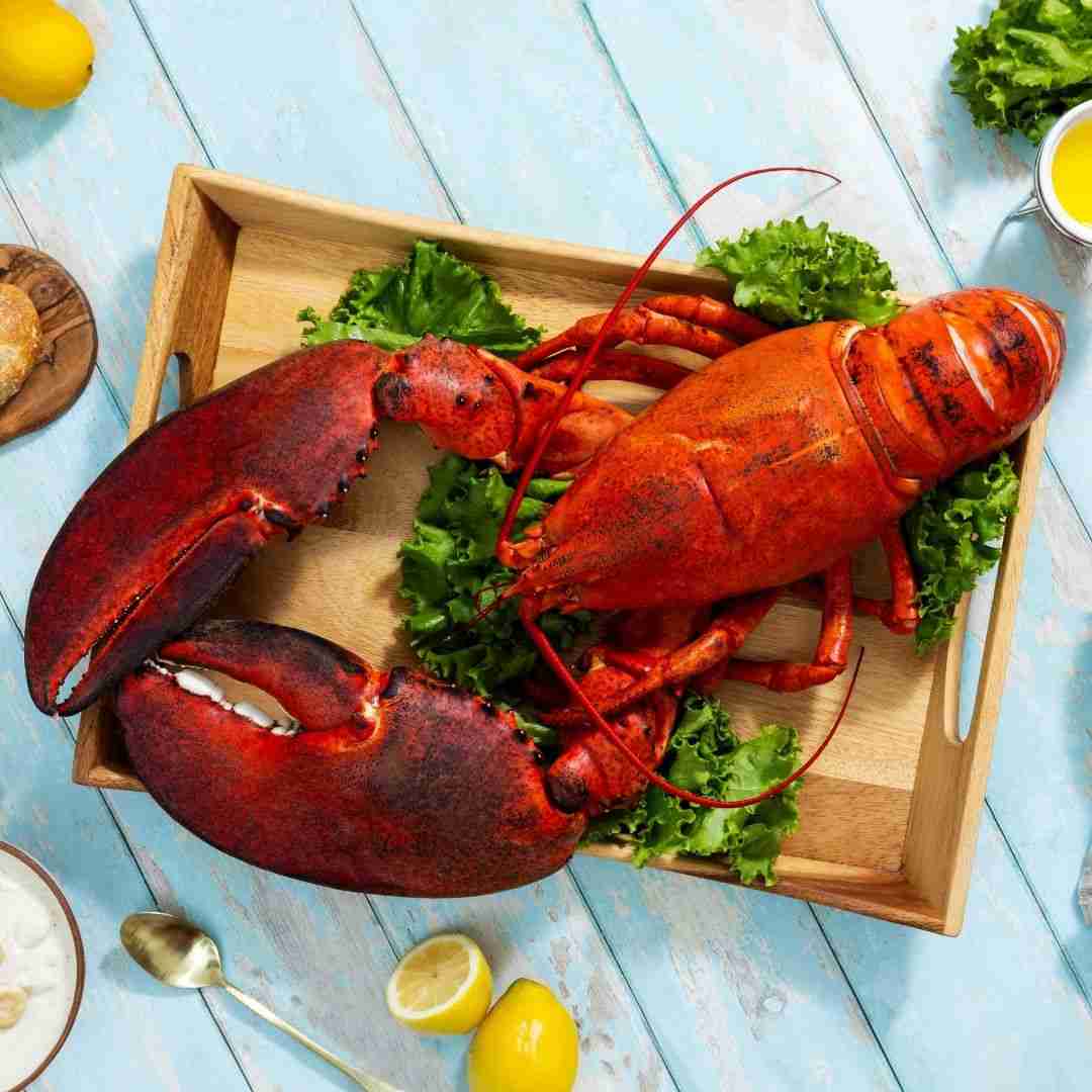 BRAND, CATEGORY, MAINE LOBSTER NOW, Live Lobster