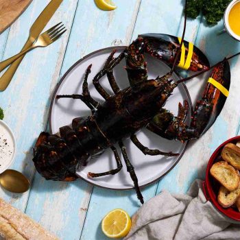 BRAND, CATEGORY, LIVE LOBSTER, MAINE LOBSTER NOW, 3 lb Live Maine Lobster
