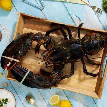 BRAND, CATEGORY, LIVE LOBSTER, MAINE LOBSTER NOW, 8 lb - 10 lb Live Canadian Lobster