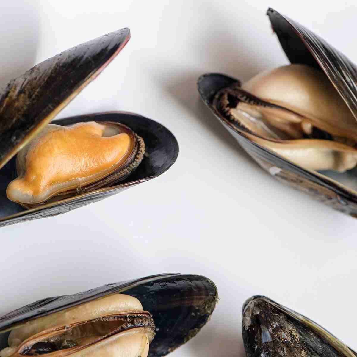 Bangs Island Maine Mussels – 2 lbs.