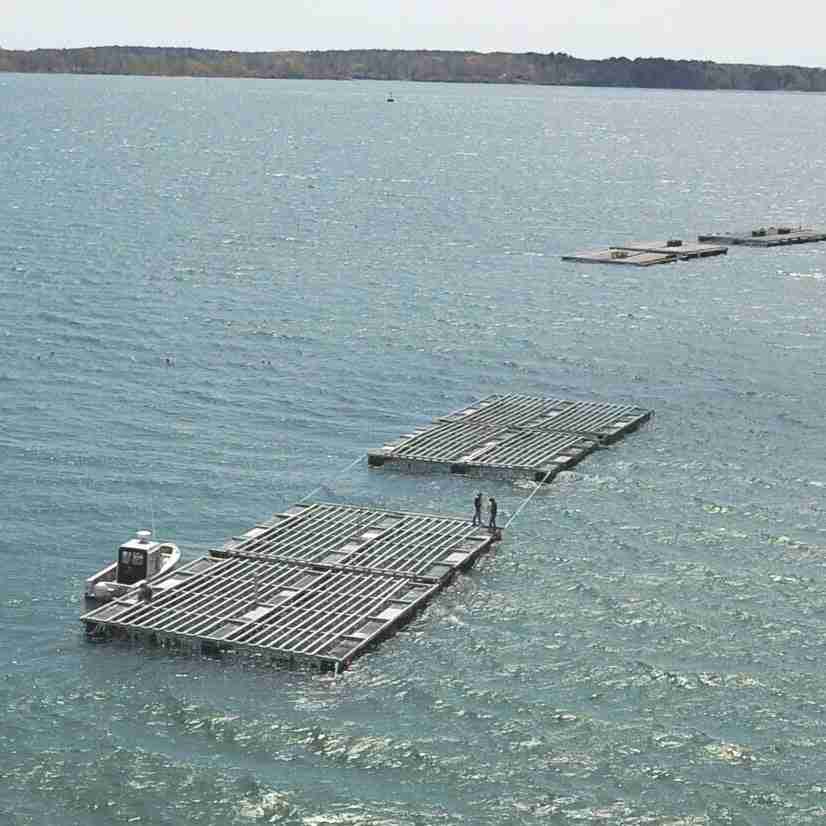 Bangs Island Maine Mussels – 2 lbs.