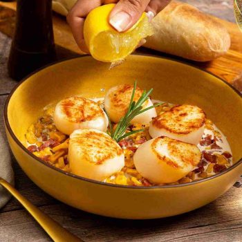 BRAND, CATEGORY, MAINE LOBSTER NOW, SCALLOPS, Frozen Maine Scallops