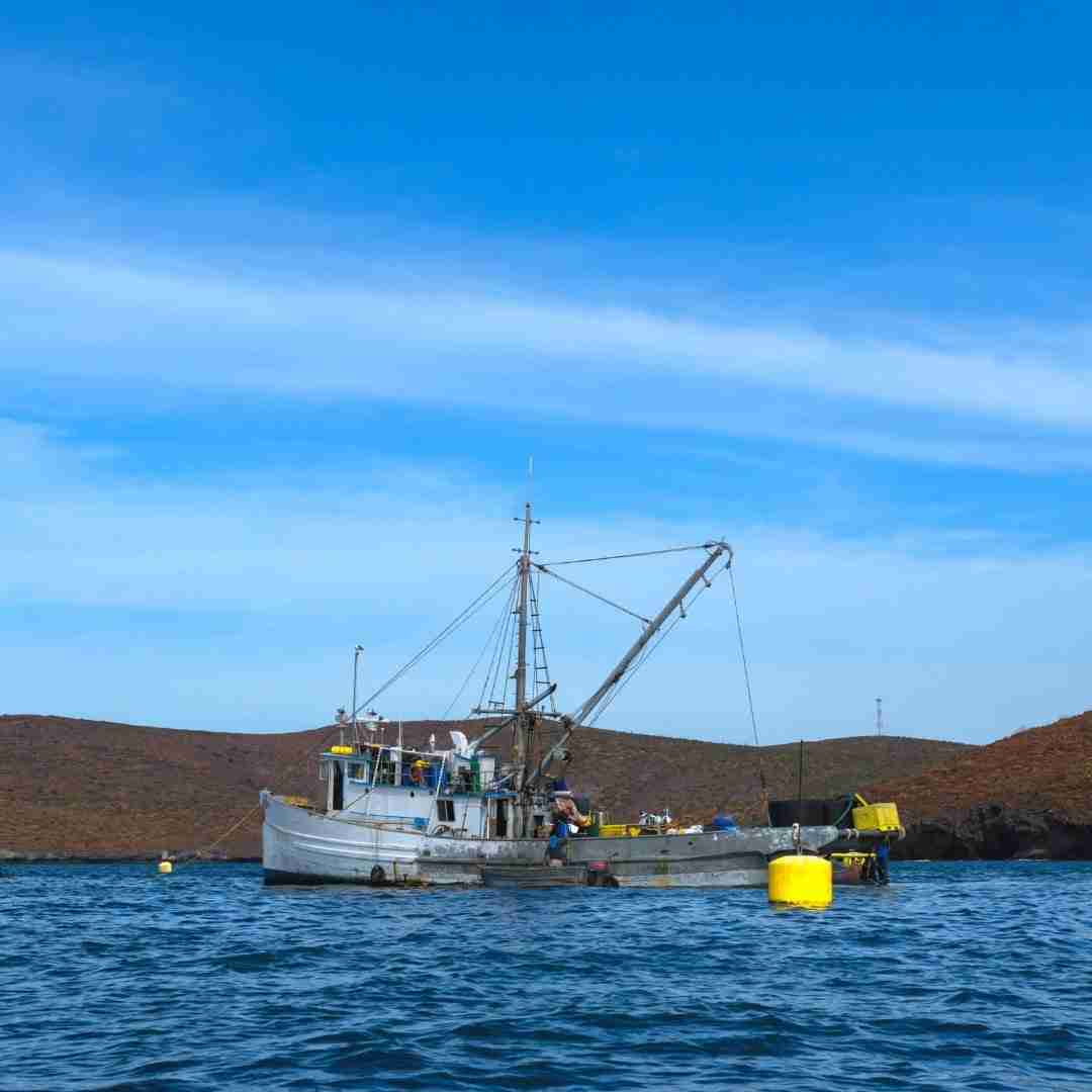 Frozen Wild-Caught Yellowfin Ahi Tuna – 10 oz