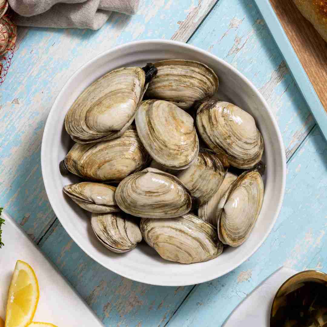 Gulf of Maine Steamer Clams – 1 lb.