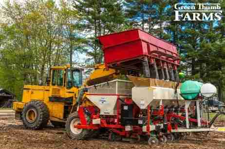 Maine Grown Red Potatoes – 1 lb
