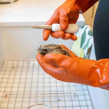 BRAND, CATEGORY, MAINE LOBSTER NOW, SUPPLIES, Oyster Shucker